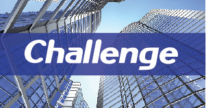 CHALLENGE / FLY